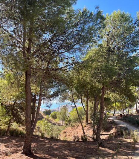 Image No.14-3 Bed Property for sale