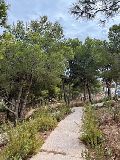 Image No.15-3 Bed Property for sale