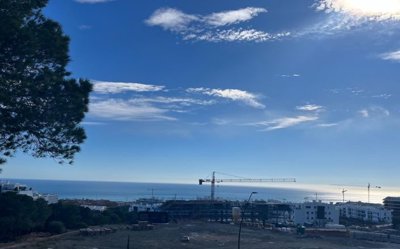 bzpaap117082914931024v0bb14