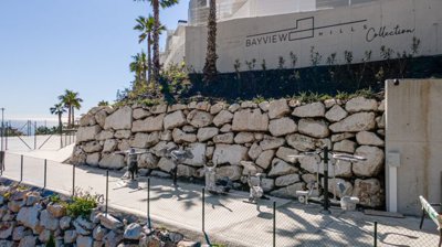 bzpaap117352922991024v00ced