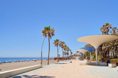 xlargebzpaap11755293032v0b8b3