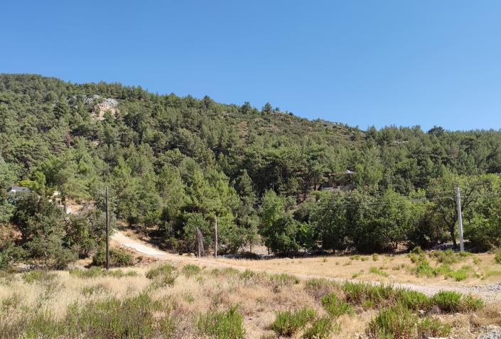 Image No.3-Plot for sale