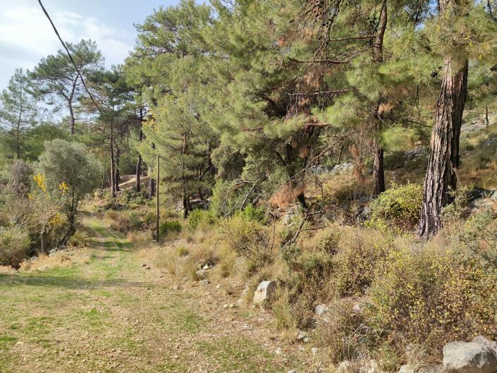 Image No.4-Plot for sale