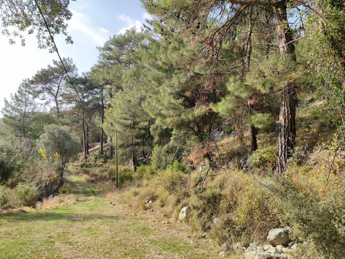 Image No.6-Plot for sale