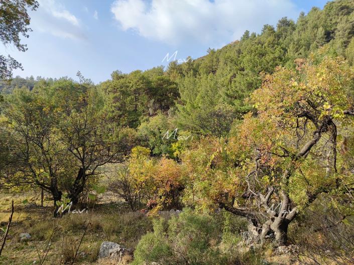 Image No.9-Plot for sale