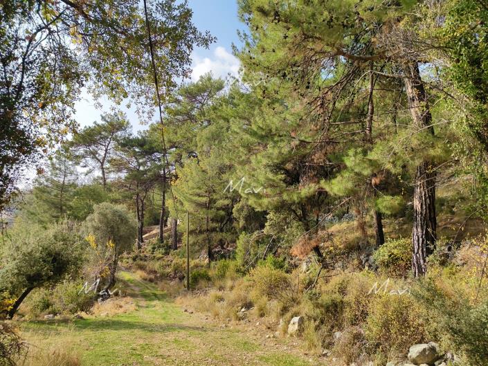 Image No.12-Plot for sale