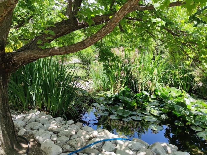 Image No.3-10 Bed Country Property for sale