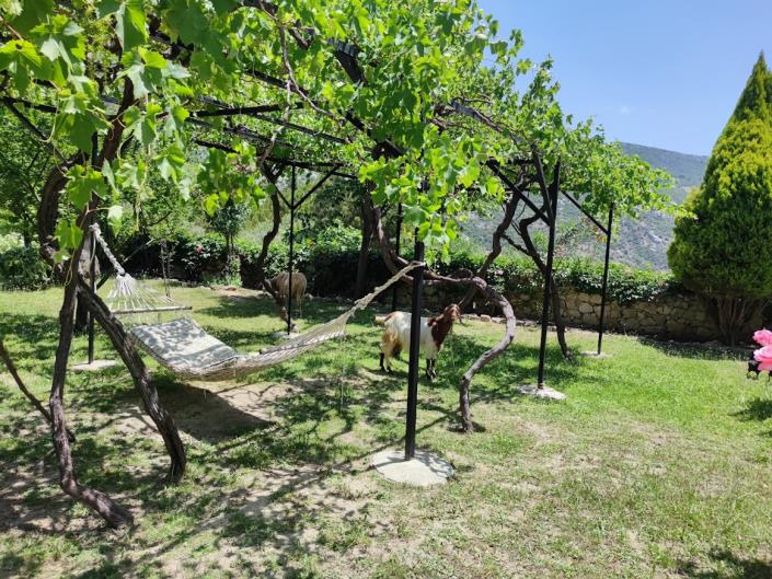 Image No.37-10 Bed Country Property for sale