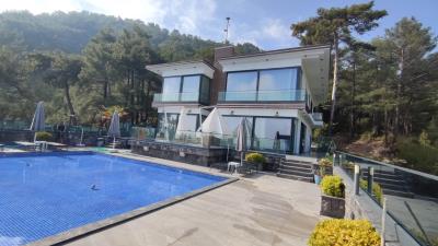 01d561ff-ef57-4b00-b124-2b04b1145b15