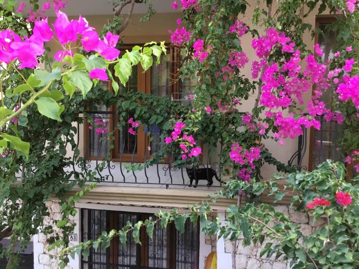 Image No.7-1 Bed Apartment for sale