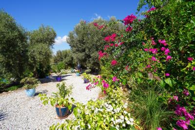 4e86ed0d-fdf7-4424-997e-cfccf8e6d94b