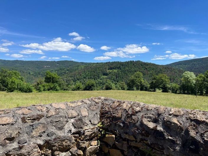 Image No.45-4 Bed House for sale