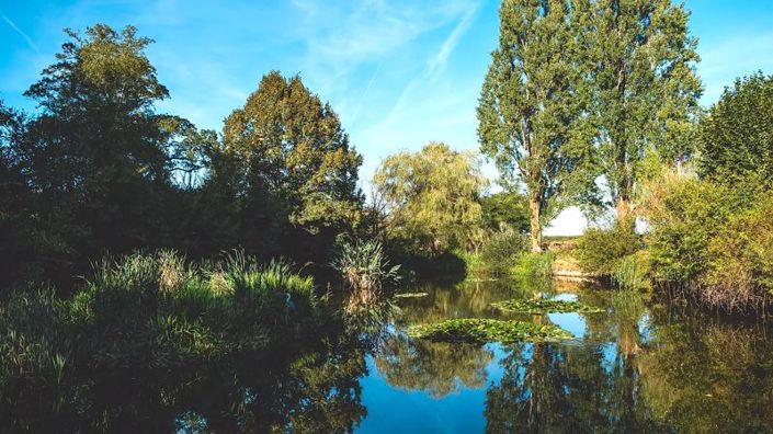 Image No.45-12 Bed House for sale