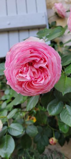 Image No.42-12 Bed House for sale