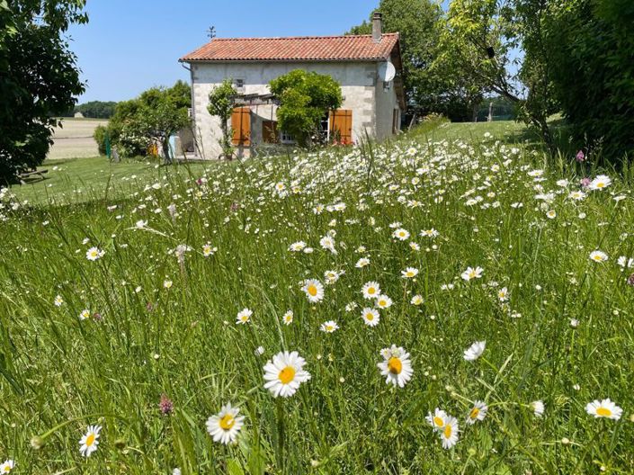 Image No.11-3 Bed Cottage for sale