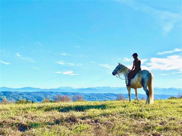 Image No.30-7 Bed House for sale