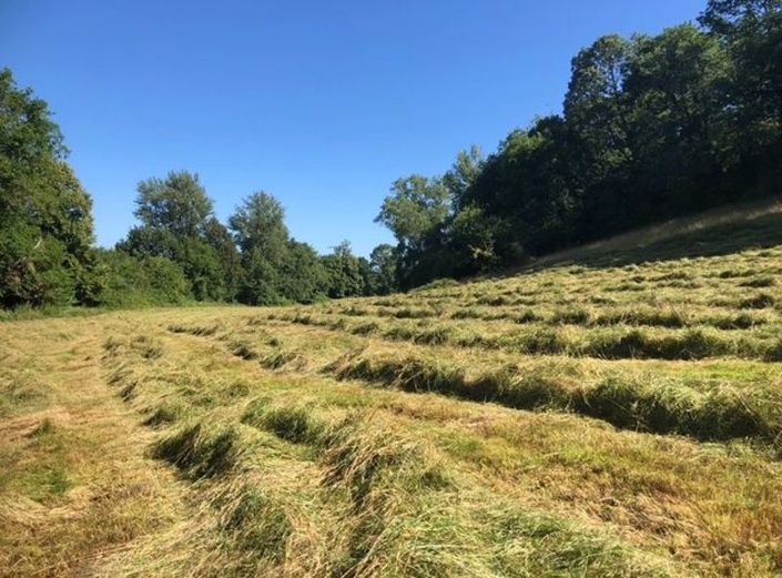 Image No.34-7 Bed House for sale