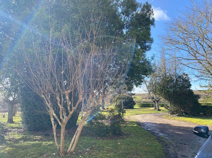 Image No.16-4 Bed House for sale