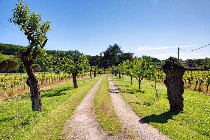 Image No.40-6 Bed House for sale