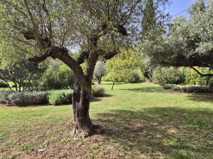 Image No.6-4 Bed Country House for sale