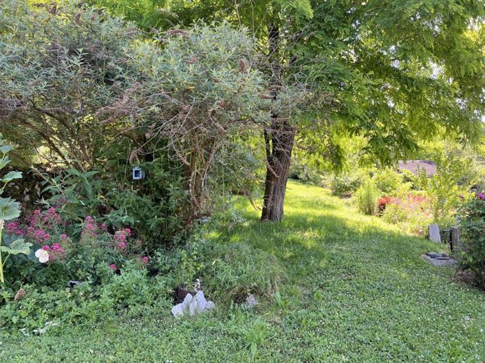 Image No.11-3 Bed House for sale