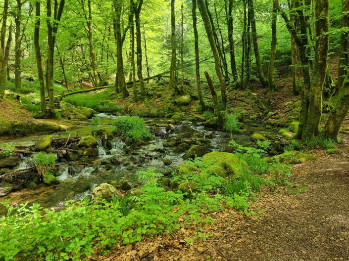 Image No.42-5 Bed House for sale