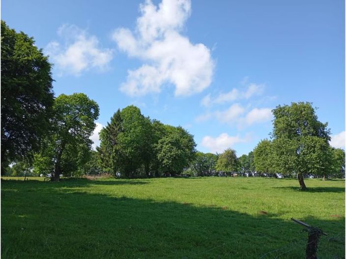 Image No.30-3 Bed House for sale