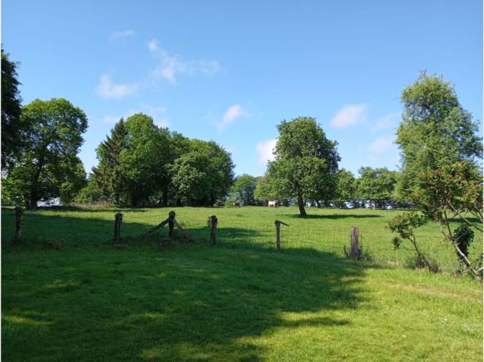 Image No.4-3 Bed House for sale