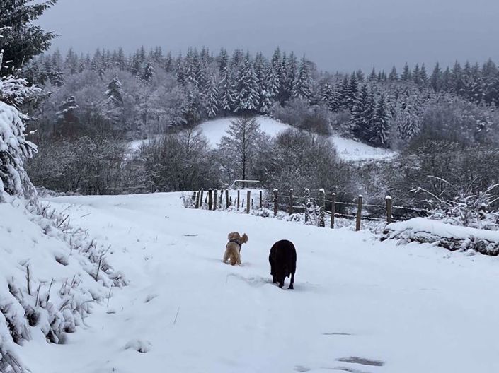 Image No.42-4 Bed Farmhouse for sale