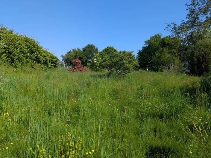 Image No.4-3 Bed Cottage for sale