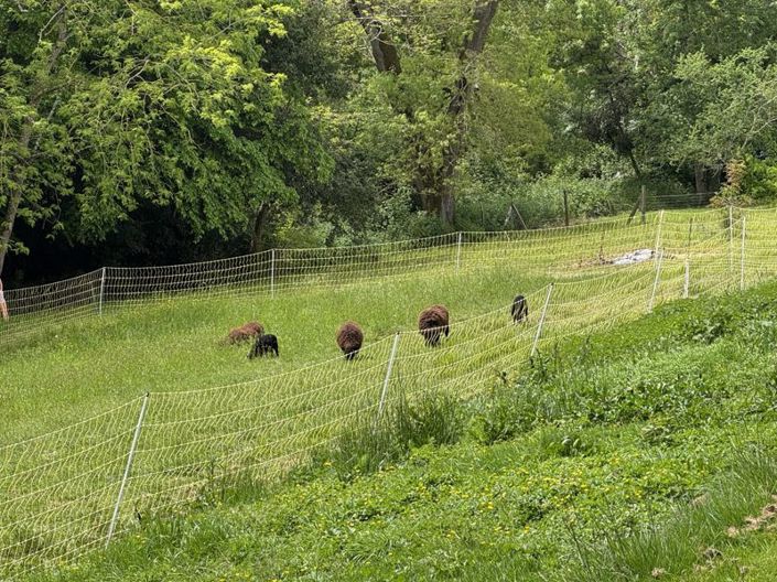 Image No.30-4 Bed Country House for sale