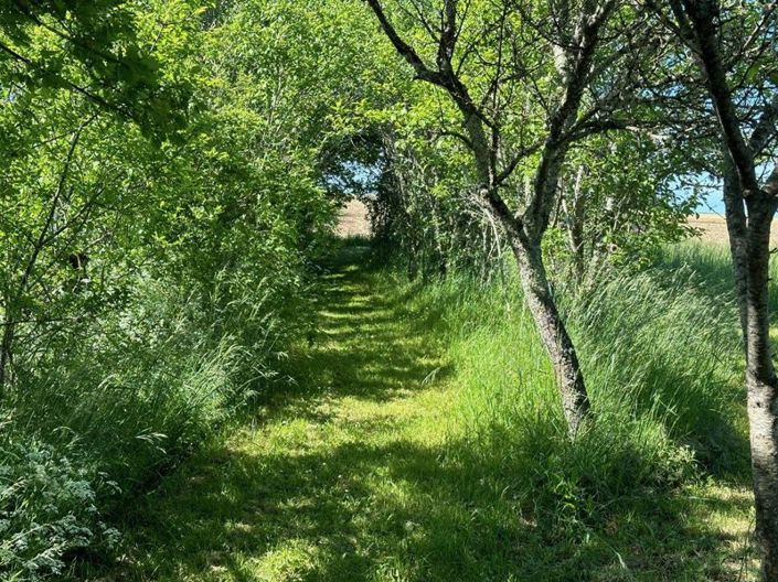 Image No.26-4 Bed Country House for sale