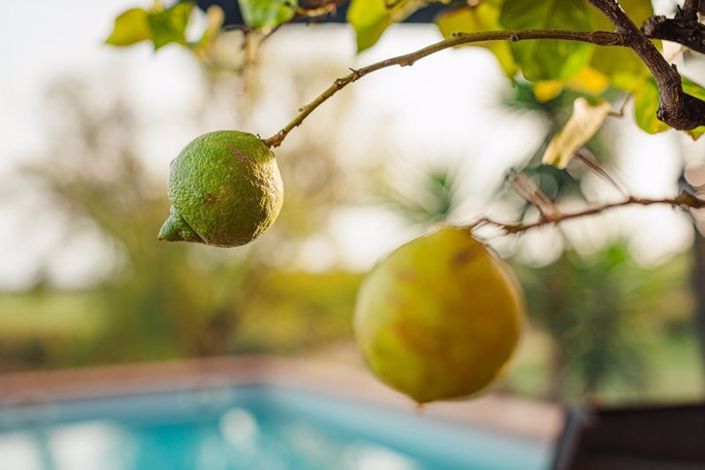 Image No.47-7 Bed House for sale