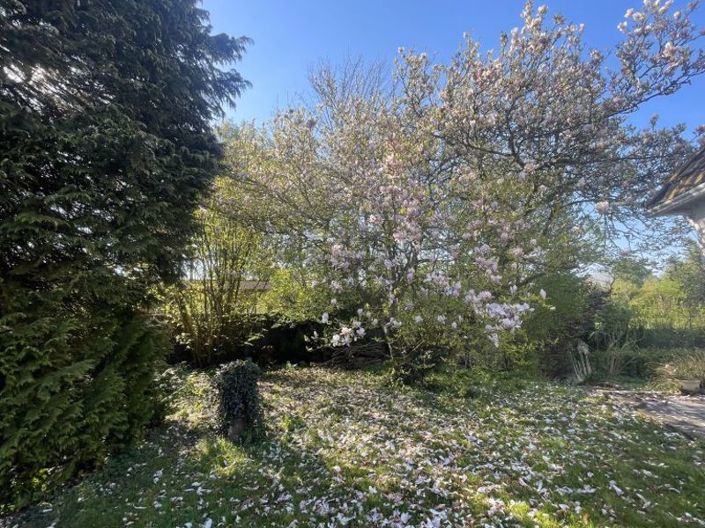 Image No.21-4 Bed Cottage for sale