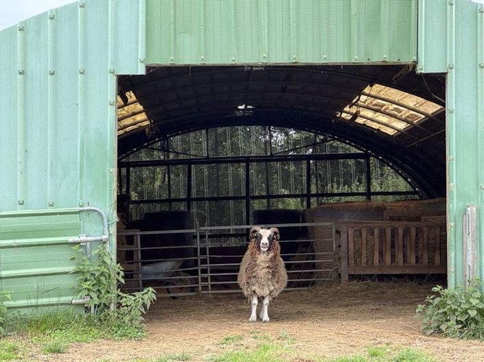 Image No.29-4 Bed Country House for sale