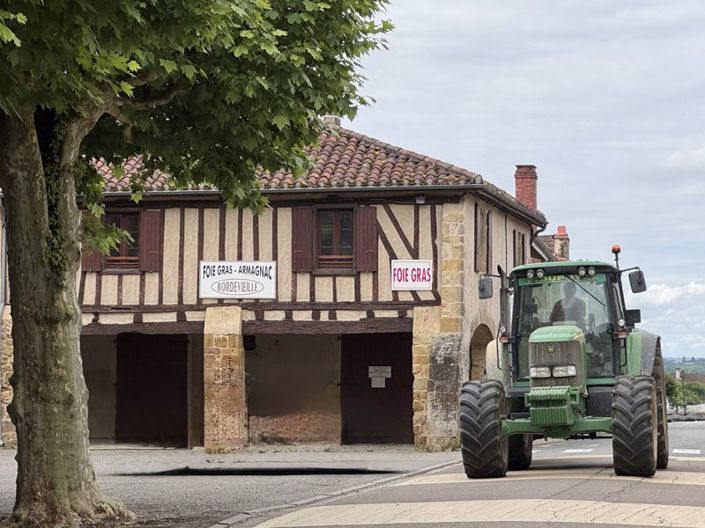 Image No.33-4 Bed Country House for sale