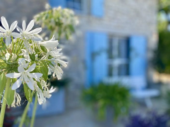 Image No.14-3 Bed Cottage for sale