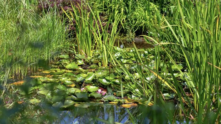 Image No.27-3 Bed House for sale