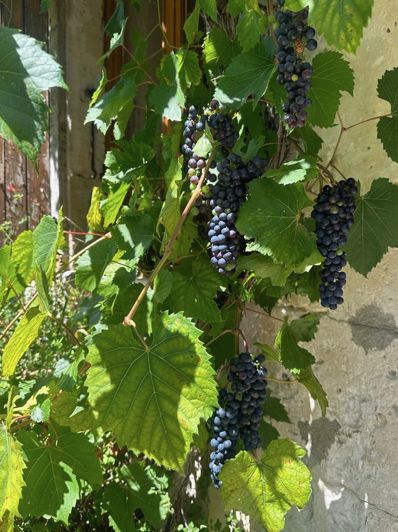 Image No.31-8 Bed House for sale