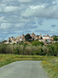 photo-2025-10-15-15-43-50-3