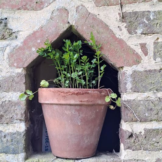 Image No.26-2 Bed House for sale