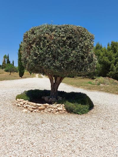 Image No.10-3 Bed Villa / Detached for sale