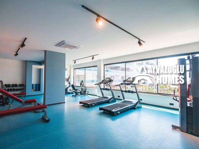 Image No.3-floorplan-3