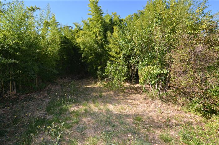 Image No.3-6 Bed House for sale