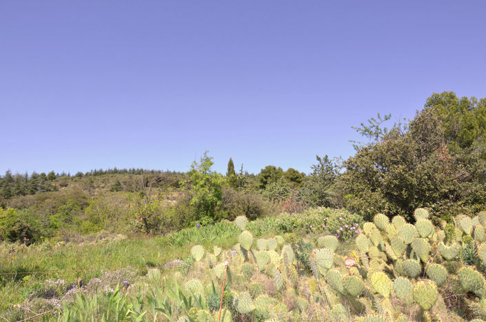 Image No.1-1 Bed Land for sale