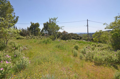 1335cabauland
