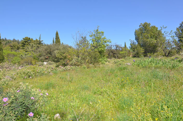 Image No.8-1 Bed Land for sale