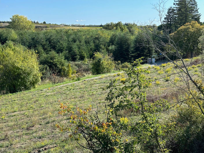 Image No.4-1 Bed Land for sale