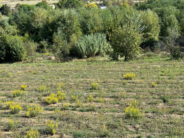 Image No.6-1 Bed Land for sale