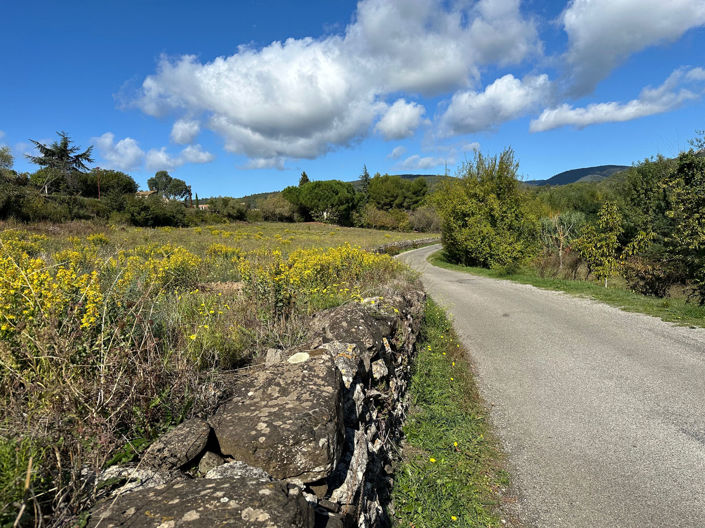 Image No.7-1 Bed Land for sale